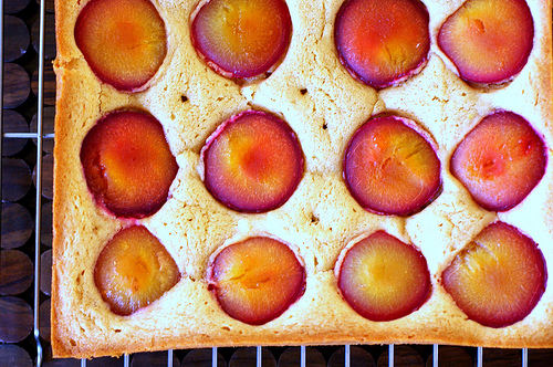 2781743578_26ed4cf6da