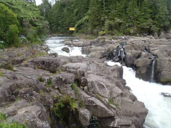 1661413_10103000706077797_963241791_n