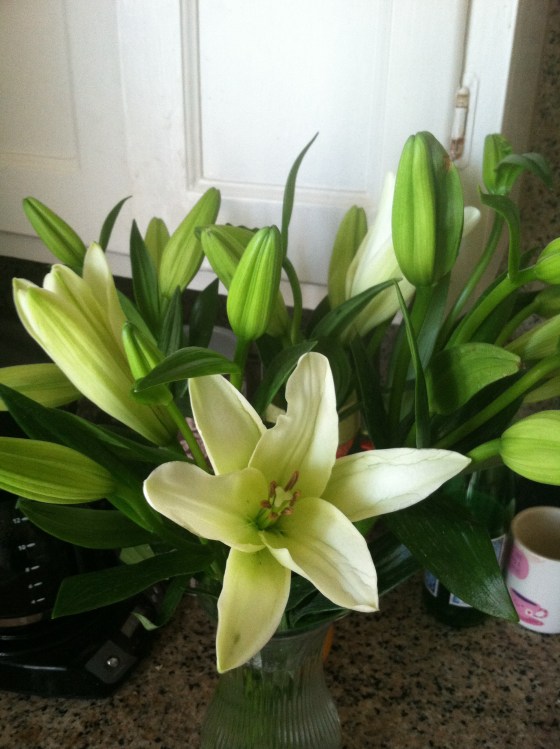 Processed with Rookie